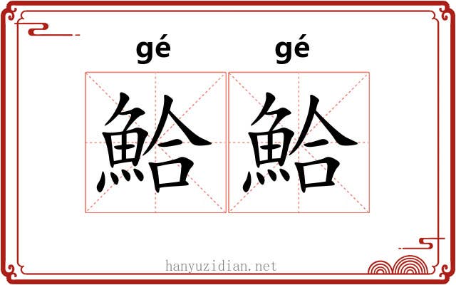 鮯鮯