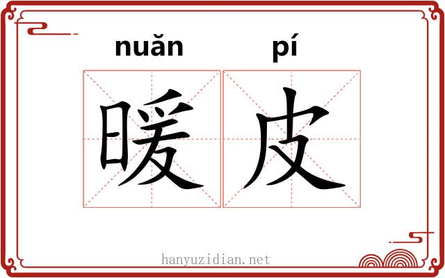 暖皮