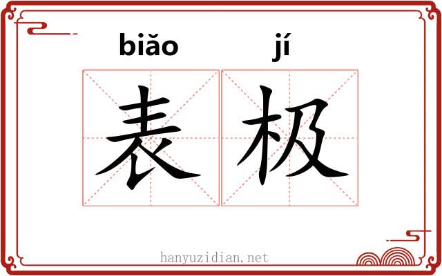 表极 表极