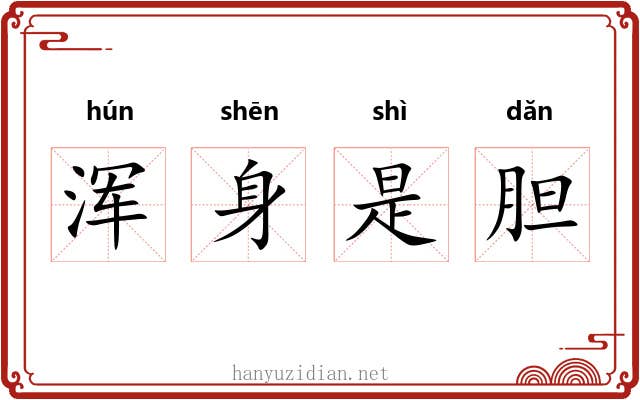 浑身是胆 浑身是胆