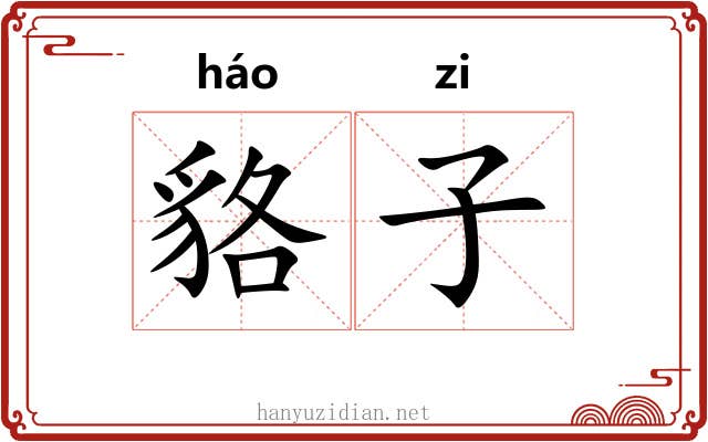 貉子