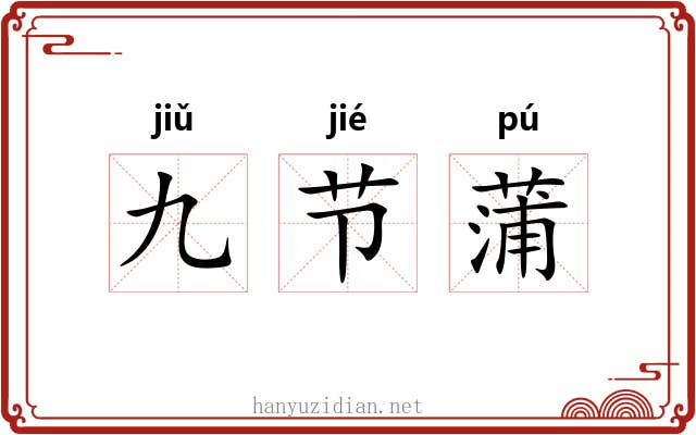 九节蒲 九节蒲