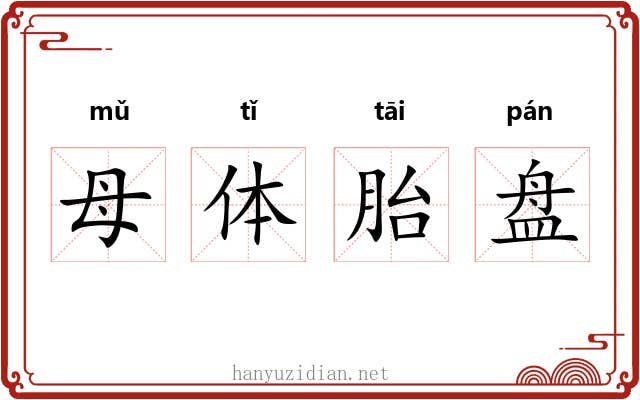 母体胎盘 母体胎盘