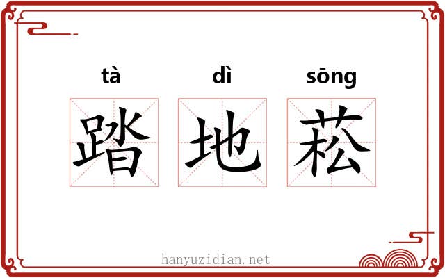 踏地菘 踏地菘