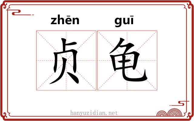 贞龟