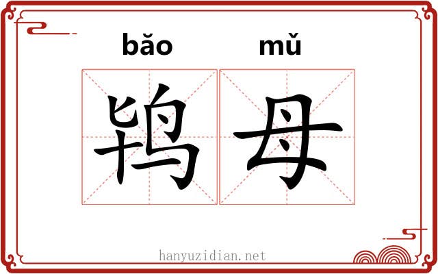 鸨母
