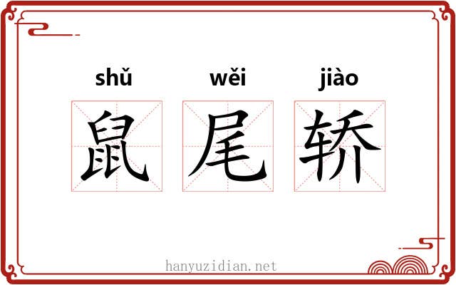 鼠尾轿