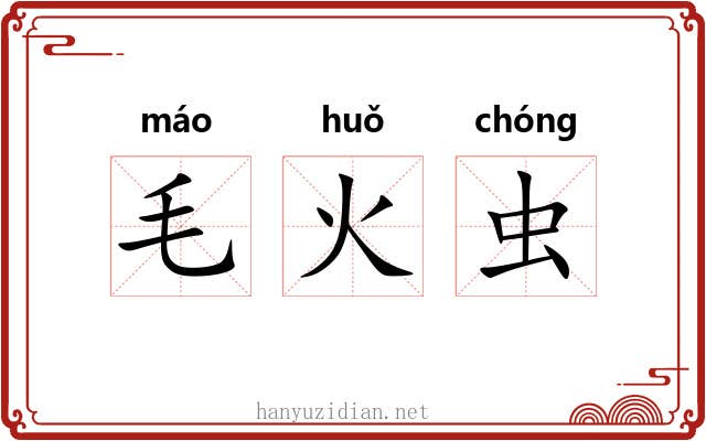 毛火虫 毛火虫