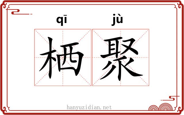 栖聚