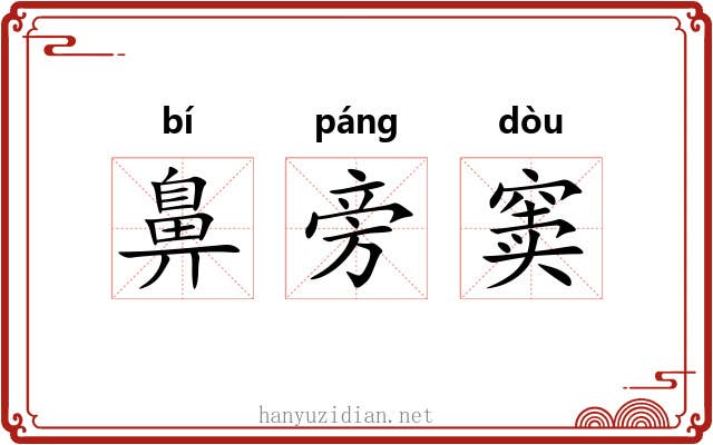 鼻旁窦 鼻旁窦