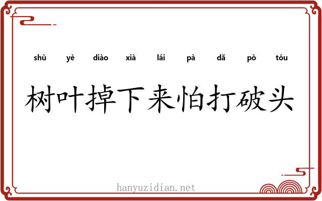 树叶掉下来怕打破头 树叶掉下来怕打破头