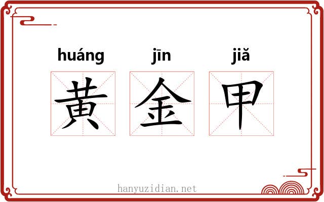 黄金甲 黄金甲