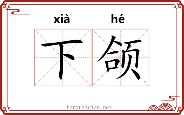 下颌 下颌