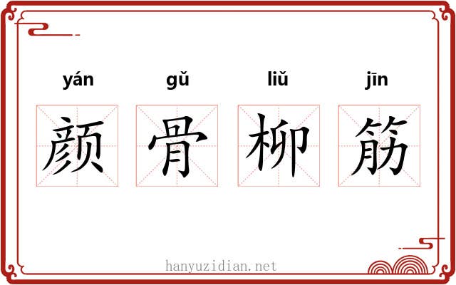 颜骨柳筋 颜骨柳筋