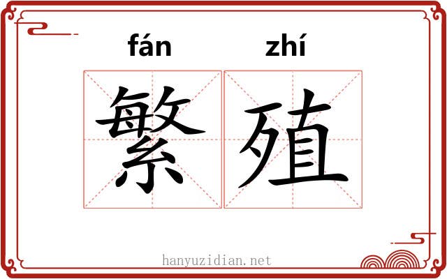 繁殖 繁殖