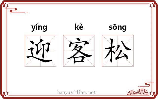 迎客松 迎客松