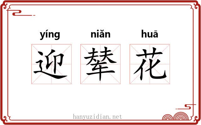 迎辇花 迎辇花