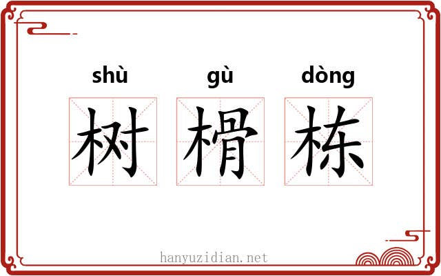 树榾栋
