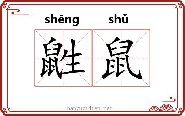 鼪鼠