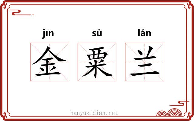 金粟兰 金粟兰