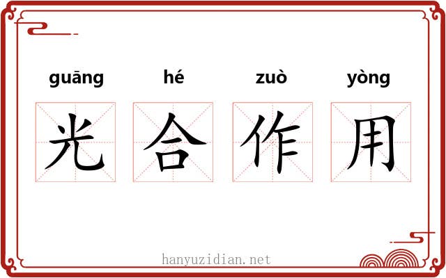 光合作用 光合作用