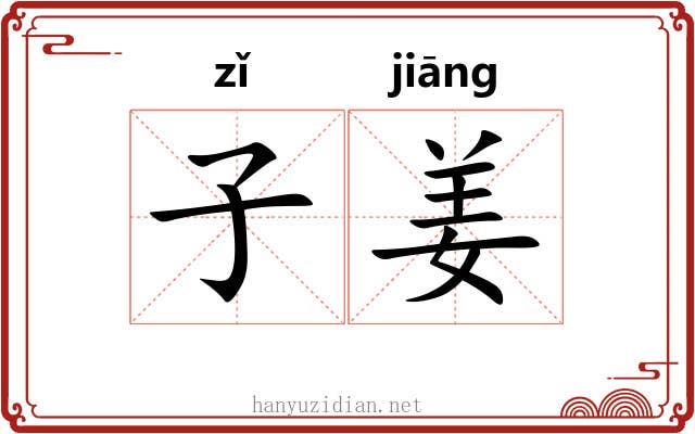 子姜 子姜