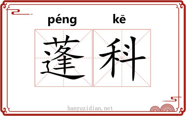 蓬科 蓬科