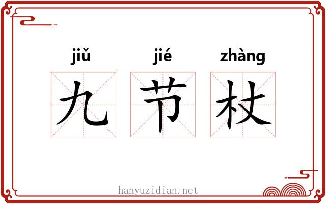 九节杖