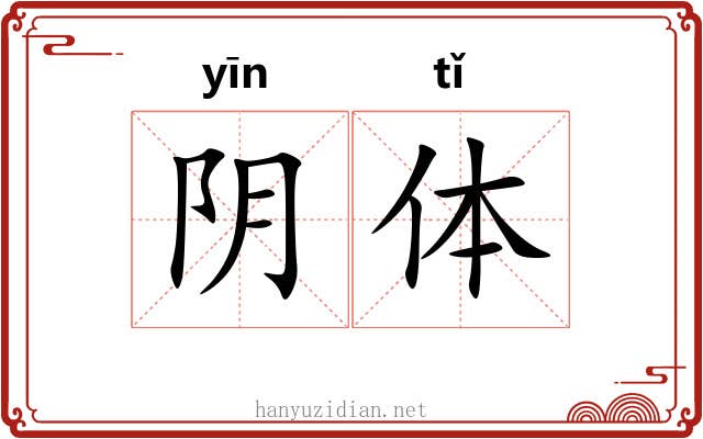 阴体