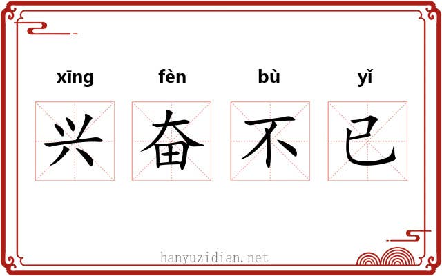 兴奋不已 兴奋不已