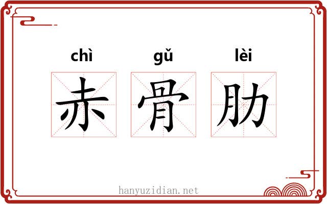 赤骨肋 赤骨肋