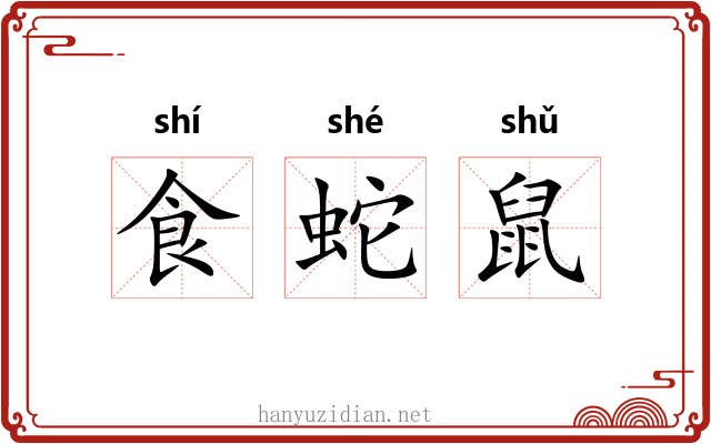 食蛇鼠