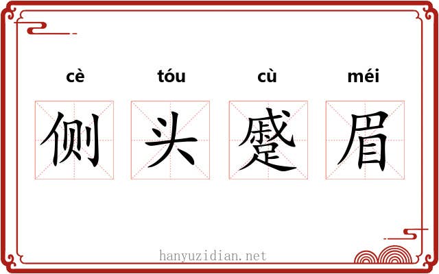 侧头蹙眉 侧头蹙眉