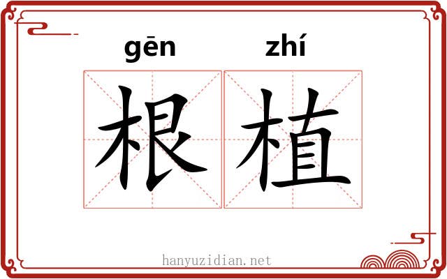 根植