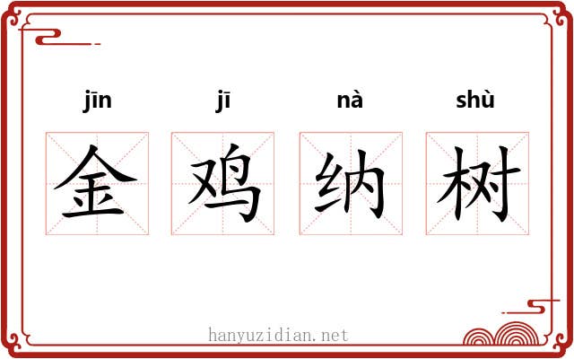金鸡纳树 金鸡纳树