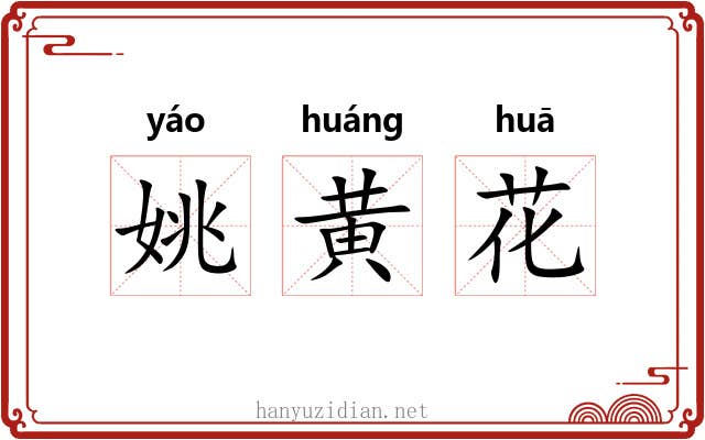 姚黄花 姚黄花
