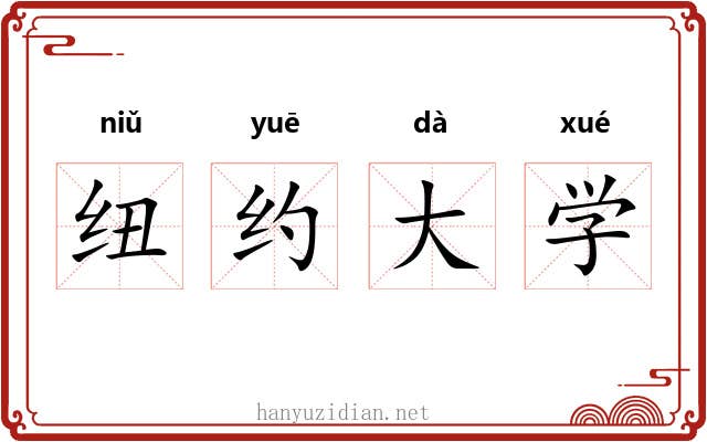 纽约大学