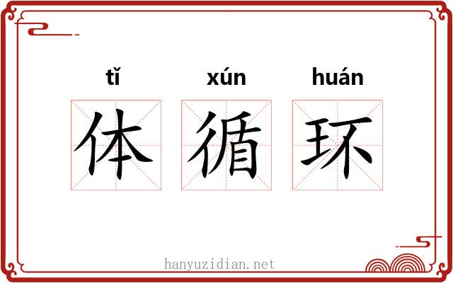 体循环 体循环