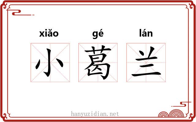 小葛兰