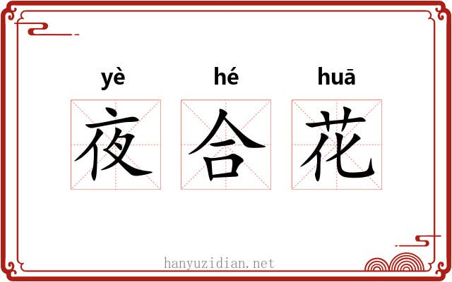 夜合花 夜合花