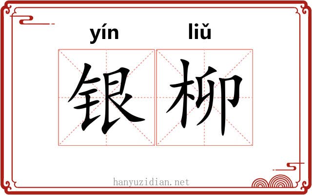 银柳 银柳