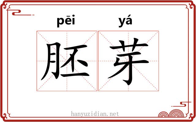 胚芽