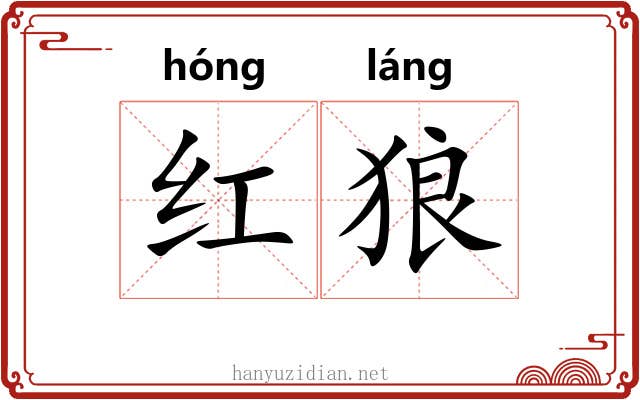 红狼 红狼