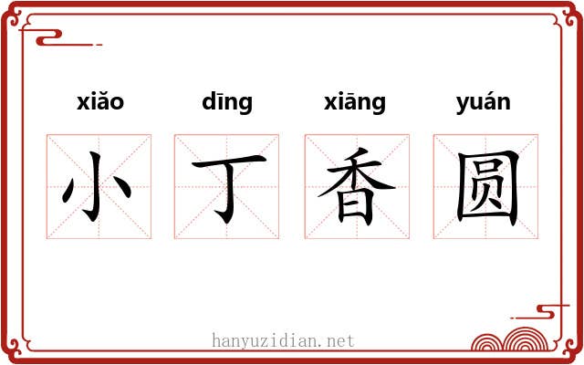 小丁香圆