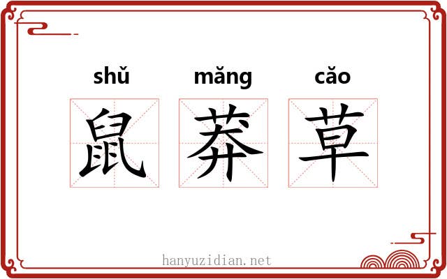 鼠莽草 鼠莽草