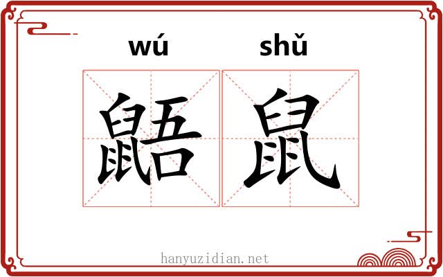 鼯鼠