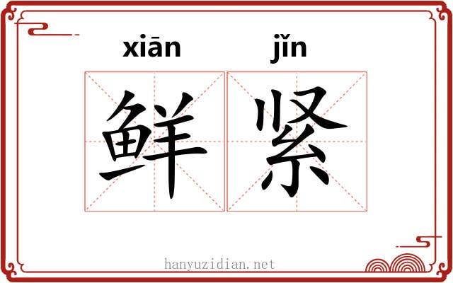 鲜紧 鲜紧