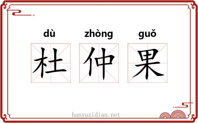 杜仲果 杜仲果