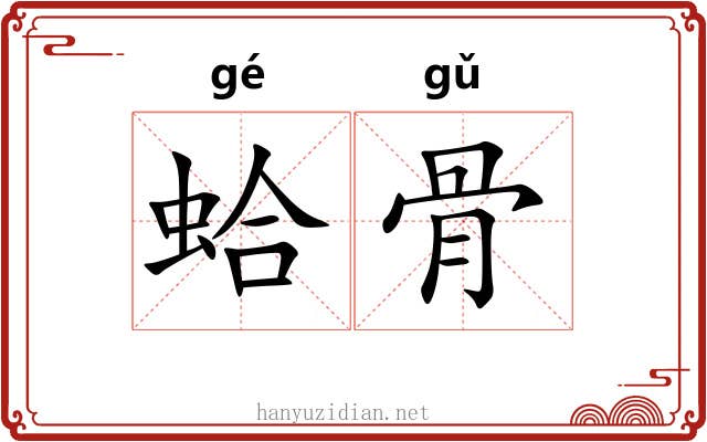 蛤骨 蛤骨