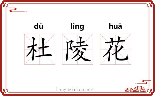 杜陵花 杜陵花